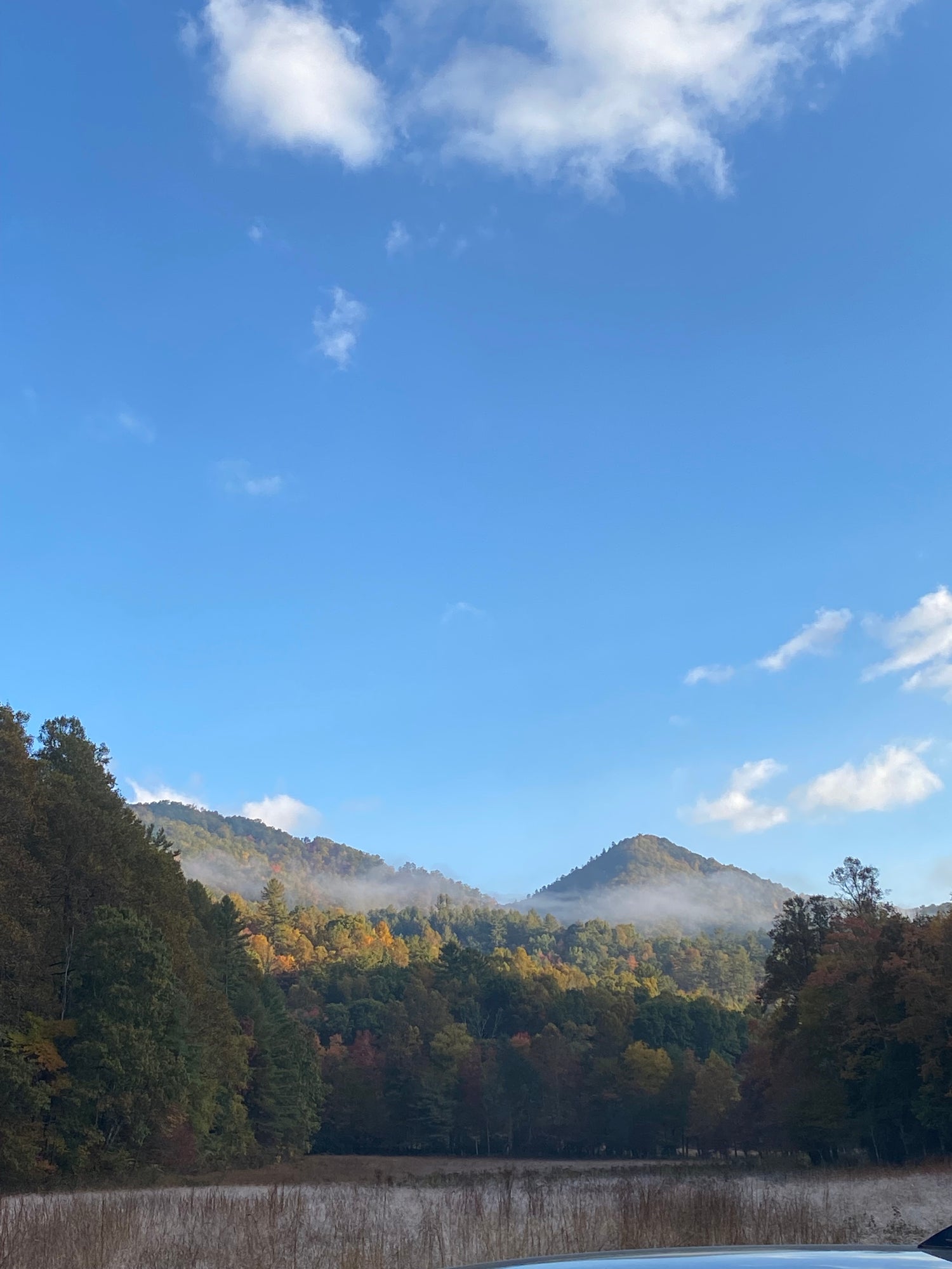 Next Appalachian Creator